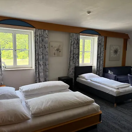 Gasthof-hotel Goldenes Schiff 3*