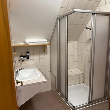 Gasthof-hotel Goldenes Schiff 3*