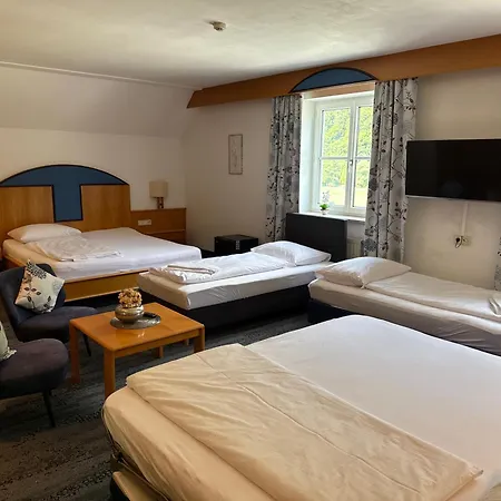 Gasthof-hotel Goldenes Schiff 3*