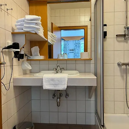 Gasthof-hotel Goldenes Schiff 3*
