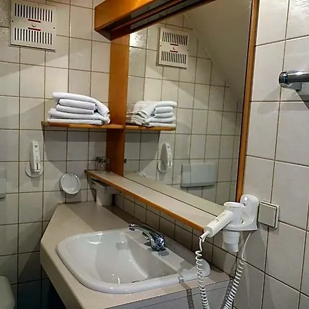 Hotel-restaurant Goldenes Schiff 3*