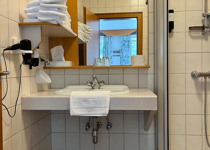 Gasthof-hotel Goldenes Schiff 3*