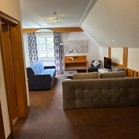 Gasthof-hotel Goldenes Schiff מלון אנגלהרטצל