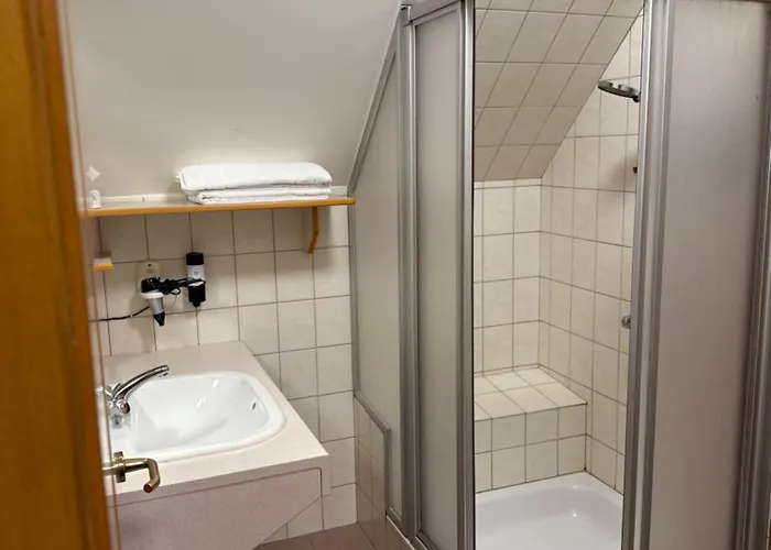 Gasthof-hotel Goldenes Schiff 3*
