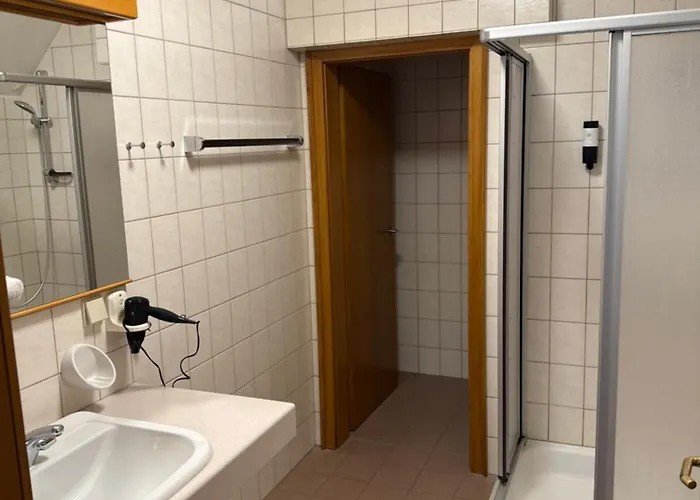 Gasthof-hotel Goldenes Schiff 3*